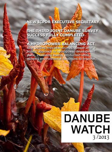 Danube Watch 3/2013