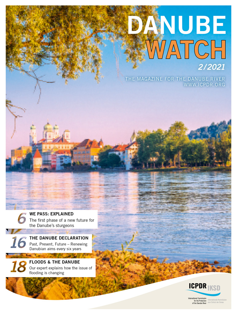 Danube Watch 2/2021