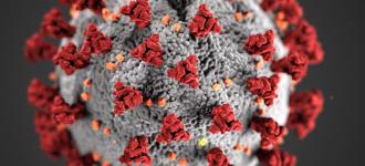 cdc-coronavirus-image-23311-for-web.jpg?itok=hmnxADfk