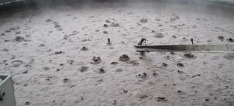 klarschlamm.jpeg?itok=7inLJidY