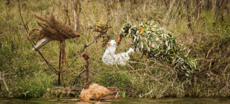 screenshot_2020-12-15_at_15.07.42_0.png?itok=BNnhTOn1