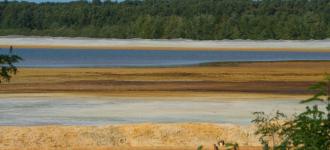 tmf.jpg?itok=y1c04nmv