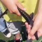 Releasing A. stellatus in Tulcea, 2013.