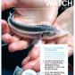 Cover of Danube Watch 1/13 with a sturgeon focus, featuring a photograph by Ralf Reinartz. 