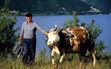 romania-farmer.jpg?itok=idILdJZp