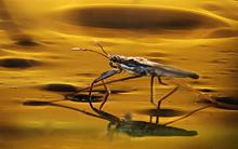 wasserlaefuer.jpg?itok=odlkvbTw