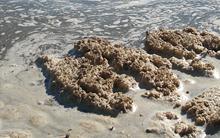 wastewater.jpg?itok=BHWaOz1C