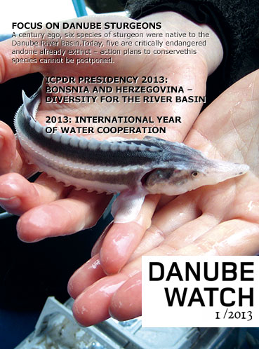 Danube Watch 1/2013