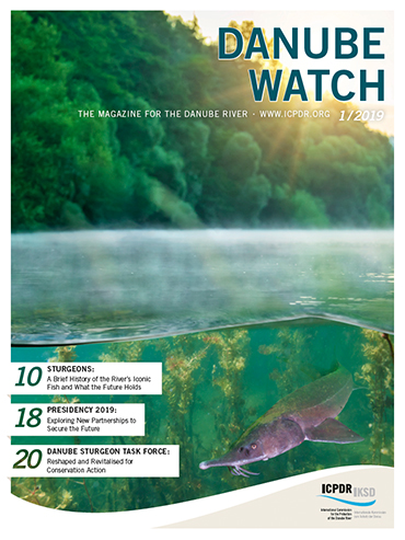 Danube Watch 1/2019