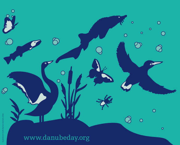 Danube Day 2020