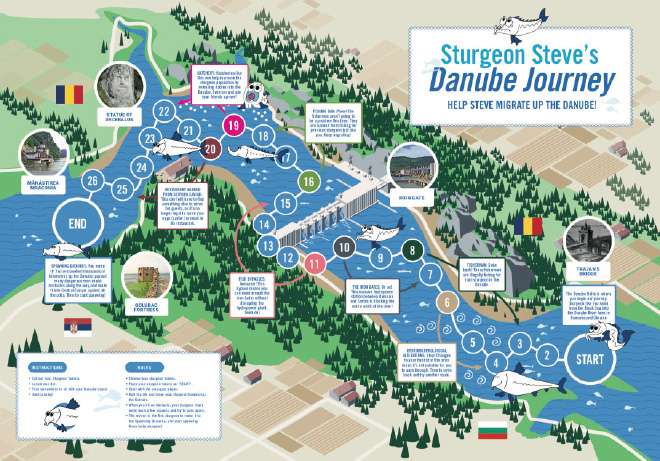 Sturgeon Steve Gameboard