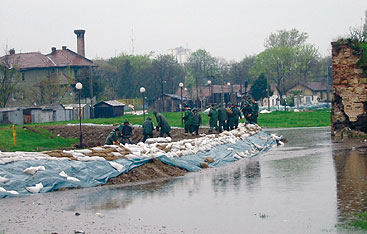 Credit: Directorate for water, Serbia a flock of seagulls in a pool of water