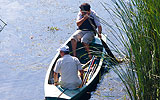 a group of people in a body of water