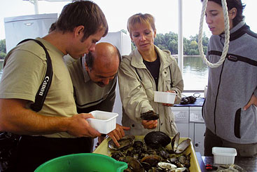 Credit: ICPDR a group of people standing in a kitchen preparing food