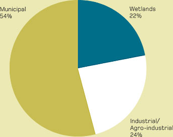 chart, pie chart