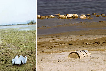 Credit: Vogrin (left), and istockphoto (right).
