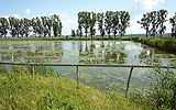 a bridge over a body of water