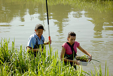 Credit: Water Research Institute, Slovak National Water Reference Laboratory