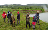 Credit: Nationalpark Donau-Auen/Frank