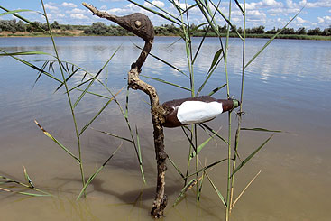 © Ecological Movement of Moldova