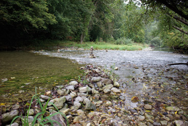 © Mair/ICPDR a river running through a forest
