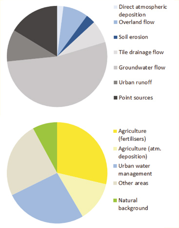 chart, pie chart