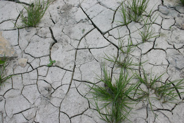 © ICPDR/Mandl a close up of a stone wall