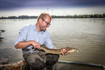 a man holding a fish in the water