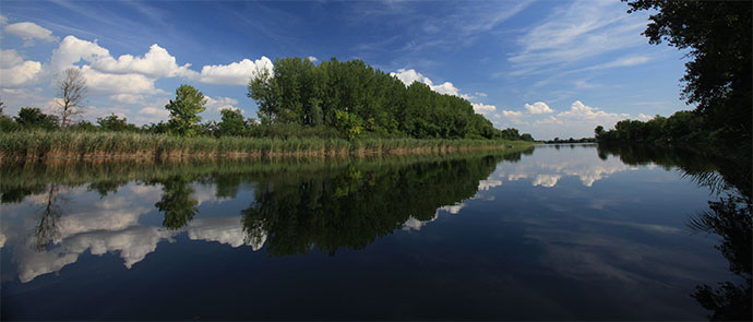 © Jaroslav Pap a bridge over a body of water surrounded by trees