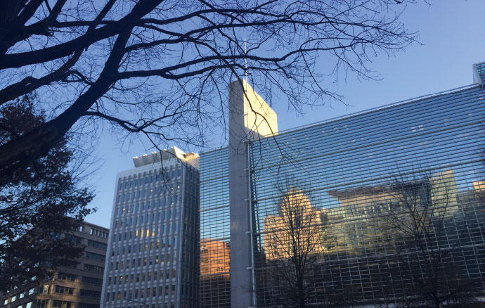 a tree in front of a building