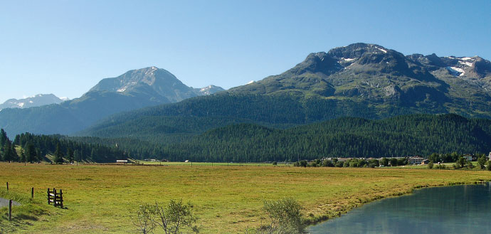 a large green field with a mountain in the background