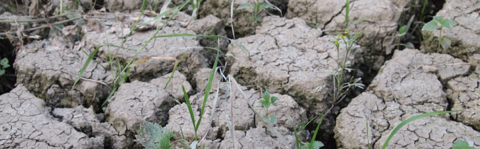 Dried up bed of Selenec stream, 2012, Slovakia, © GWP CEE a close up of a rock