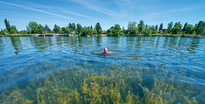 © City of Vienna MA 45 a body of water surrounded by trees