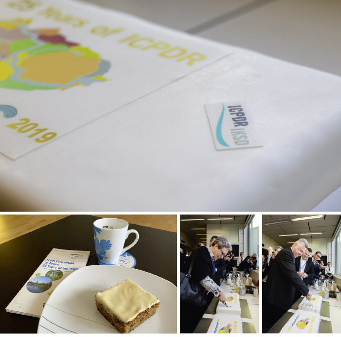 © ICPDR a cake on a table