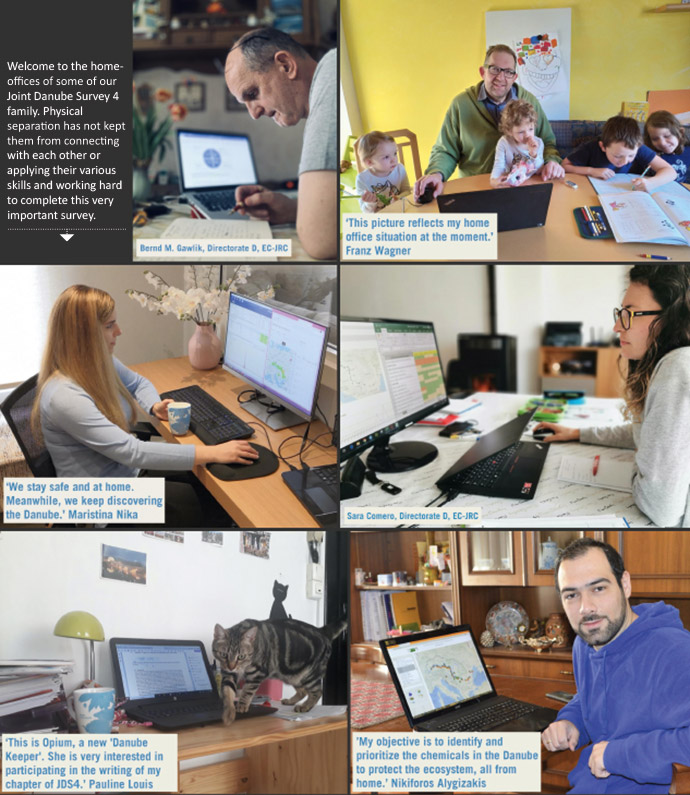 Welcome to the home-offices of some of our Joint Danube Survey 4 family. Physical separation has not kept them from connecting with each other or applying their various skills and working hard to complete this very important survey.