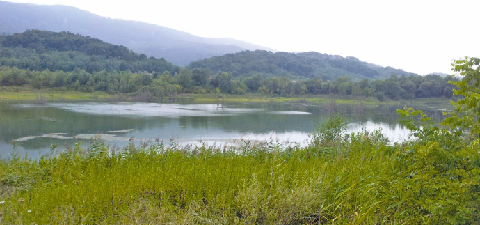 a body of water with a mountain in the background