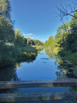 a body of water surrounded by trees