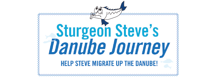 Image text: Sturgeon Steve's Danube Journey HELP STEVE MIGRATE UP THE DANUBE!