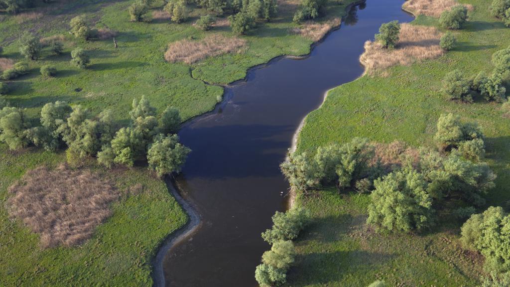 Aerial view of a river