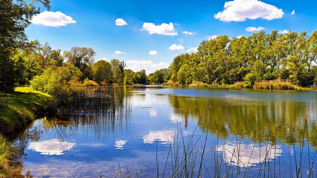 ©Istock / Creativemarc View of a body of water at the National Park Donau Auen, surrounded by vegetation with the reflection of the clouds on the water