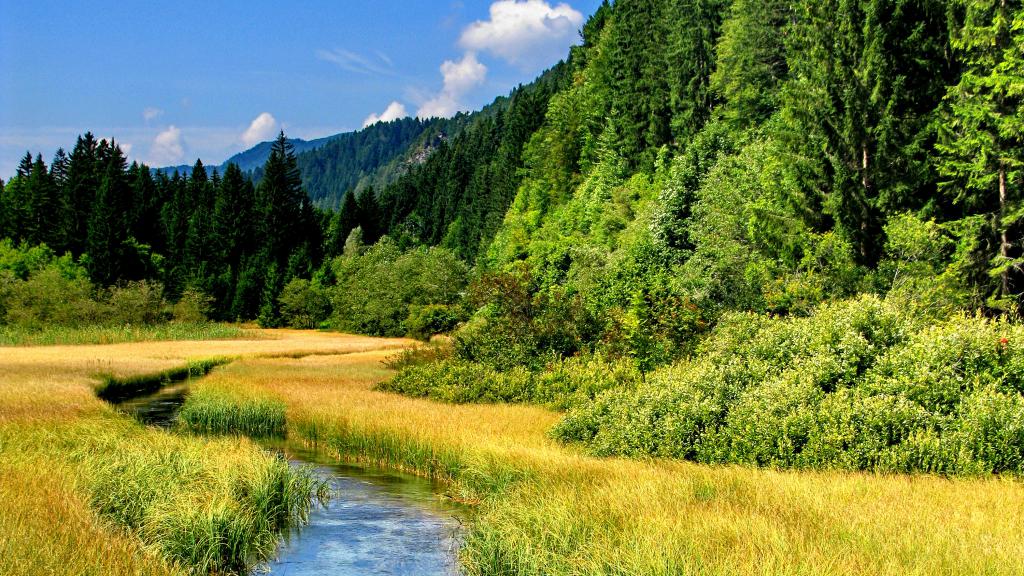 Image of the Sava River below the Planica valley in Slovenia