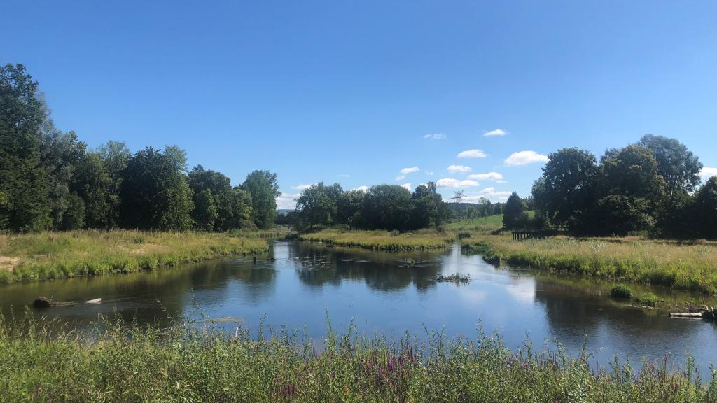 © Marlene Reichegger view of the source of the Danube with a body of water in the middle of the photo under clear skies and surrounded by vegetation
