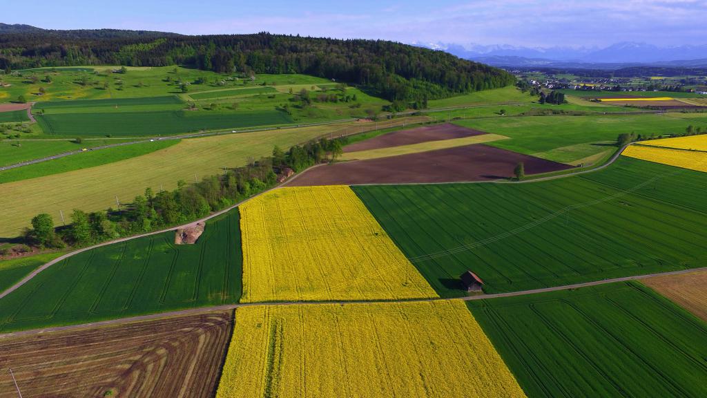 Aerial image of a field with different colours representing the different crops on the field