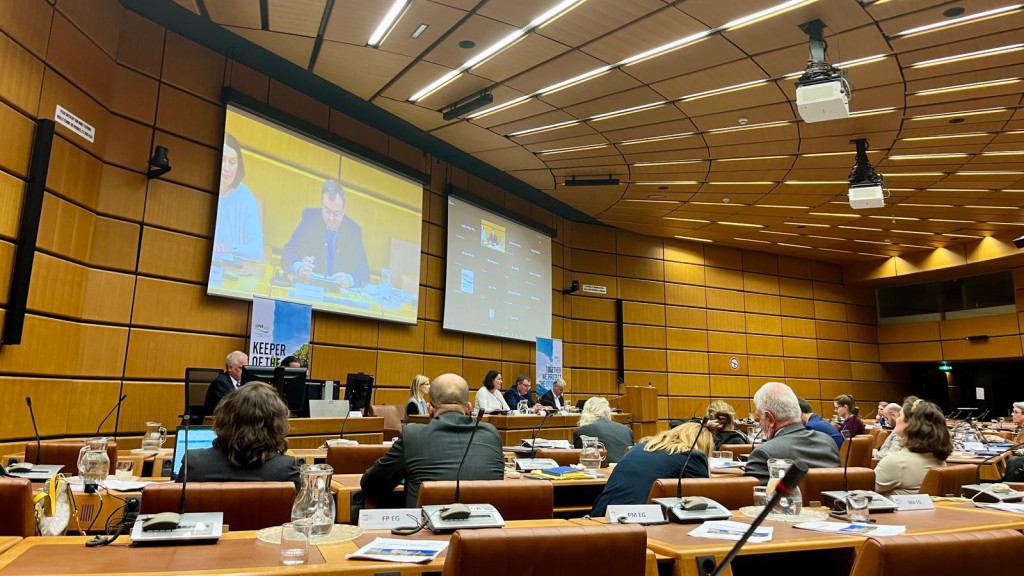 ©ICPDR Full conference room, with a man's face on the screen
