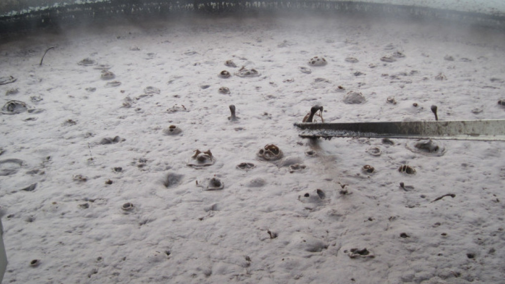 Andrea Roskosch / UBA image of sludge