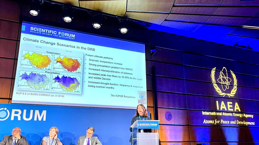 ICPDR Woman stands at a podium in a conference room