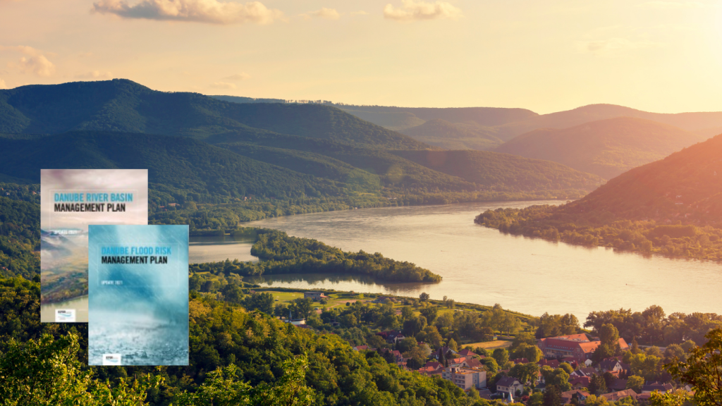 DRBMP and DFRMP on top of a Danube picture