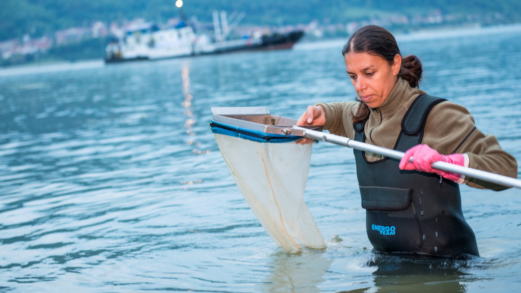 A woman in the water holding a net and looking at it 