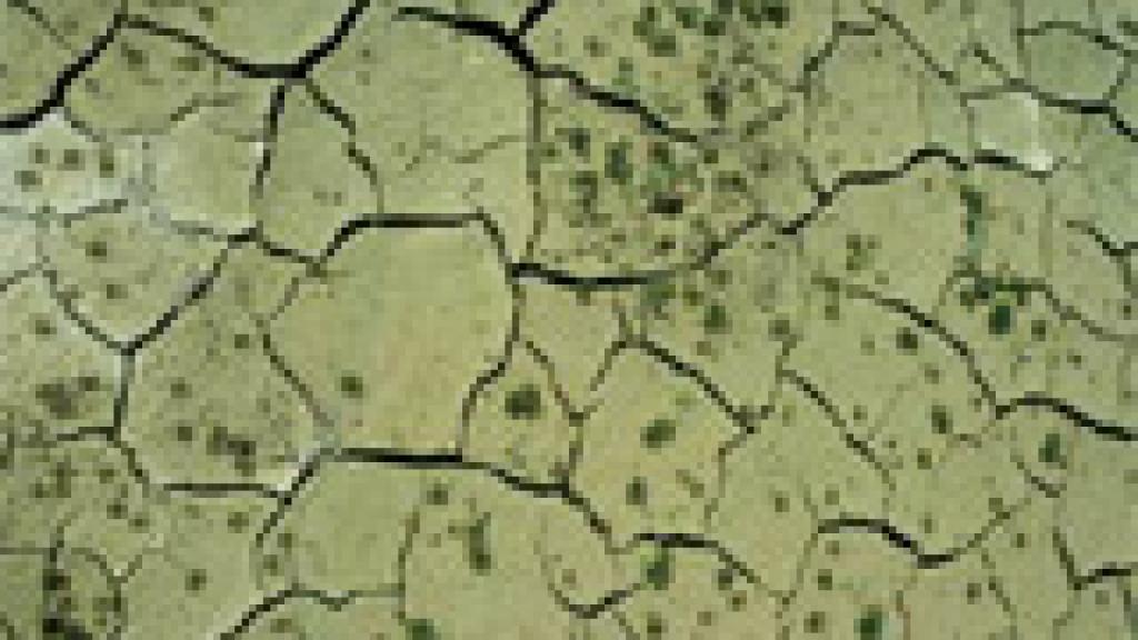 Dry earth