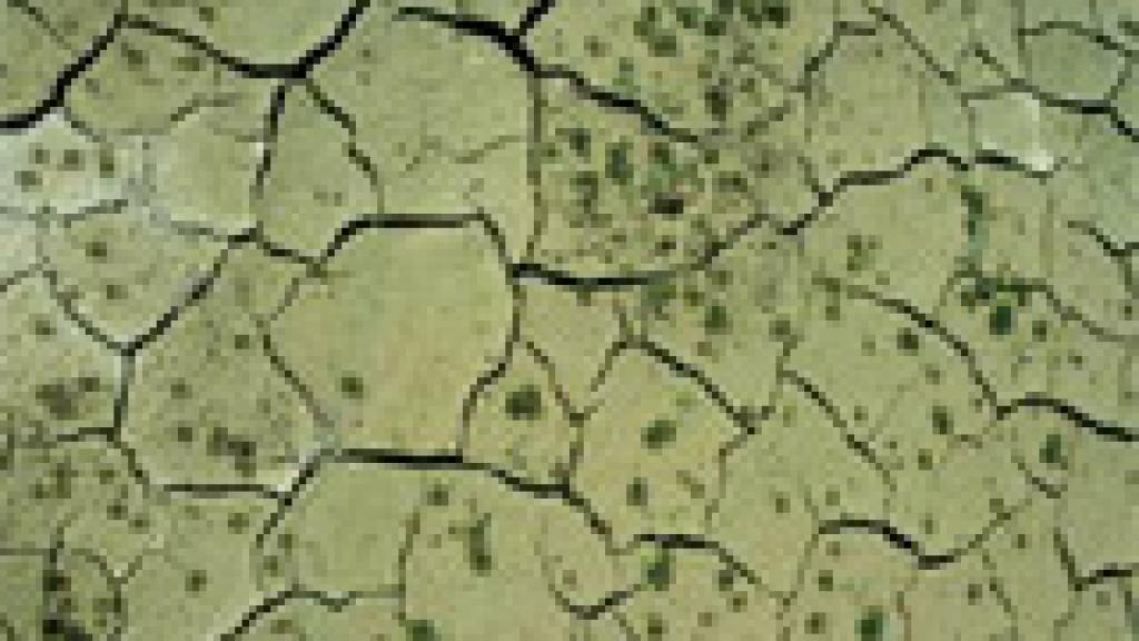 Dry earth 